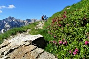 All’Angelo di CIMA CADELLE (2483 m) dalla Baita del Camoscio (1750 m) il 23 giugno 2018 - FOTOGALLERY